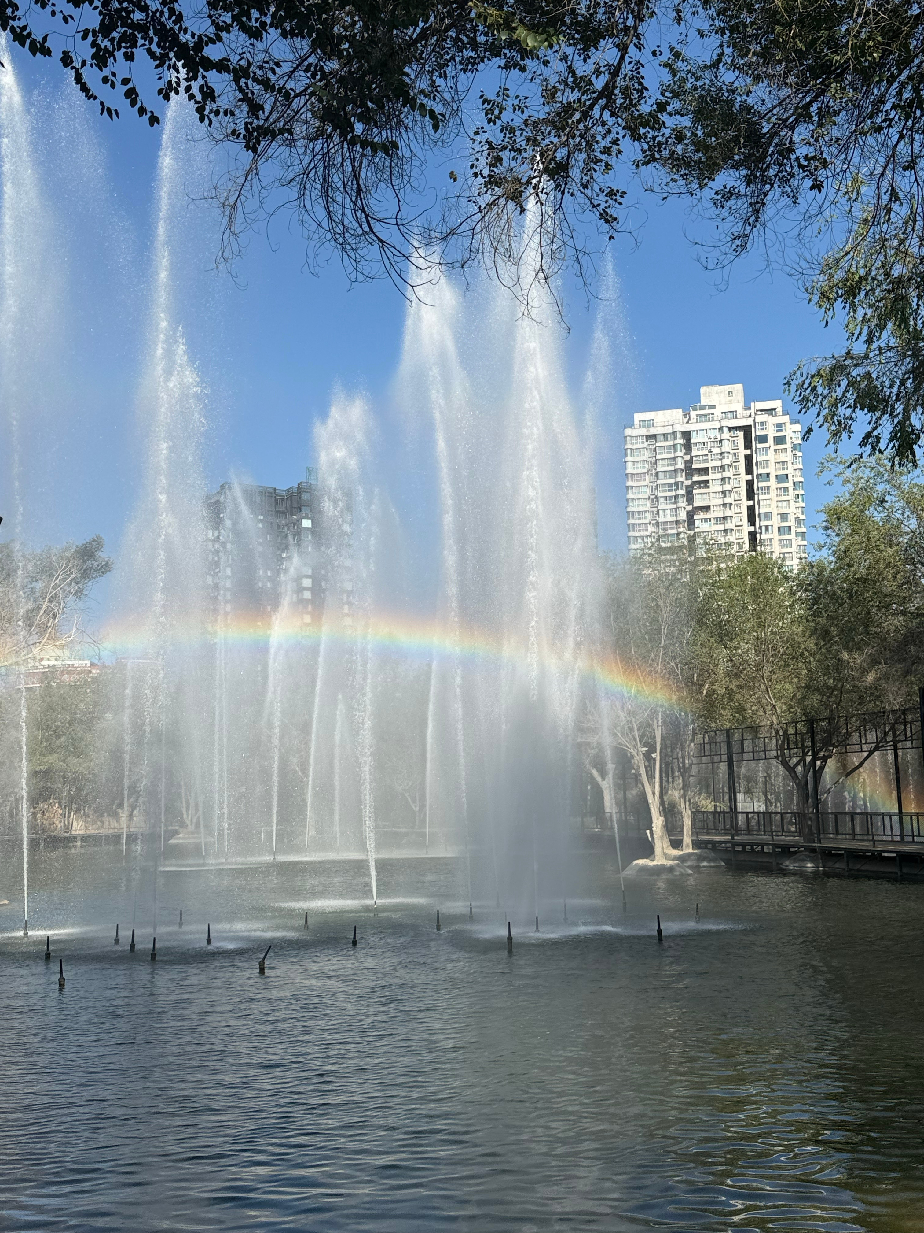 一大早，看到很多彩虹🌈 