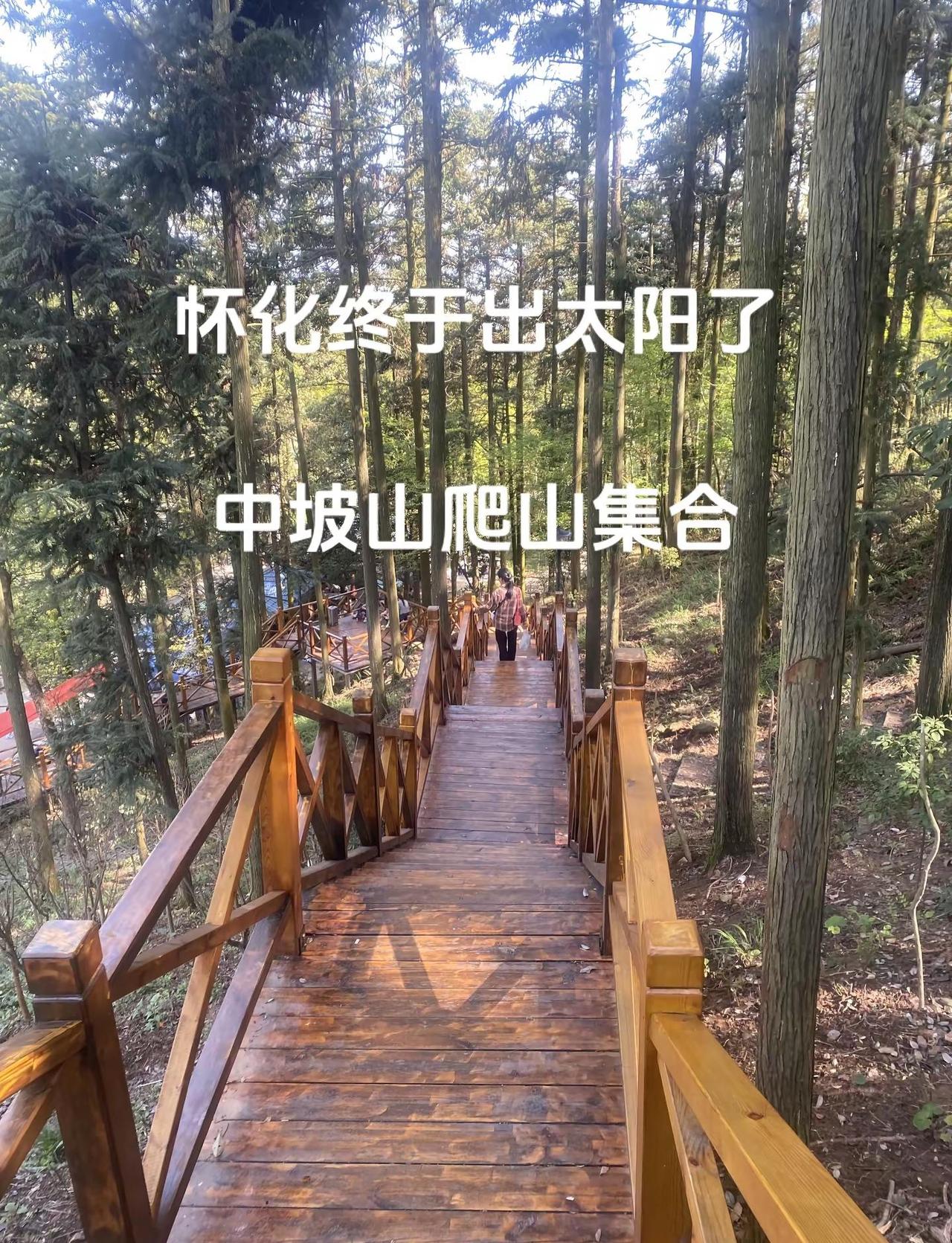 怀化终于出太阳了中坡山森林公园