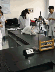 都假装在看别的吗[允悲]  ( •́ .̫ •̀ ) ​​​