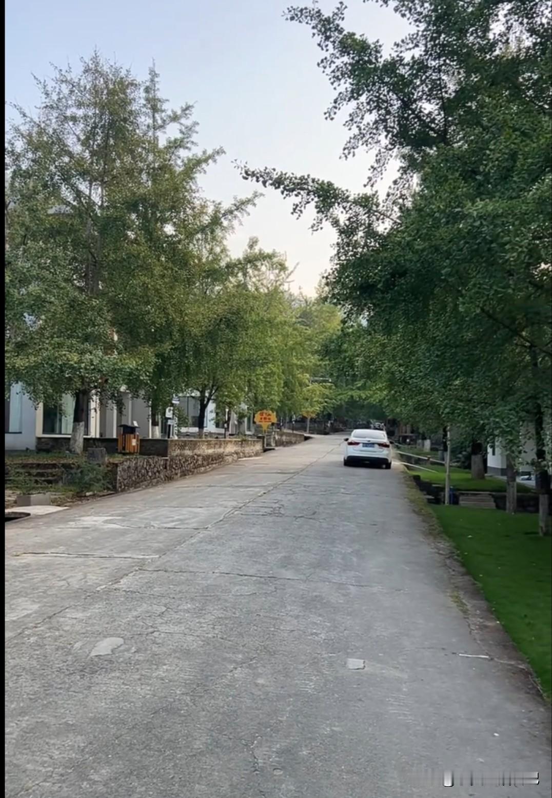 你有钱了想做什么 要是一夜暴富，那我能干的事儿简直像天上的星星，数都数不过来！