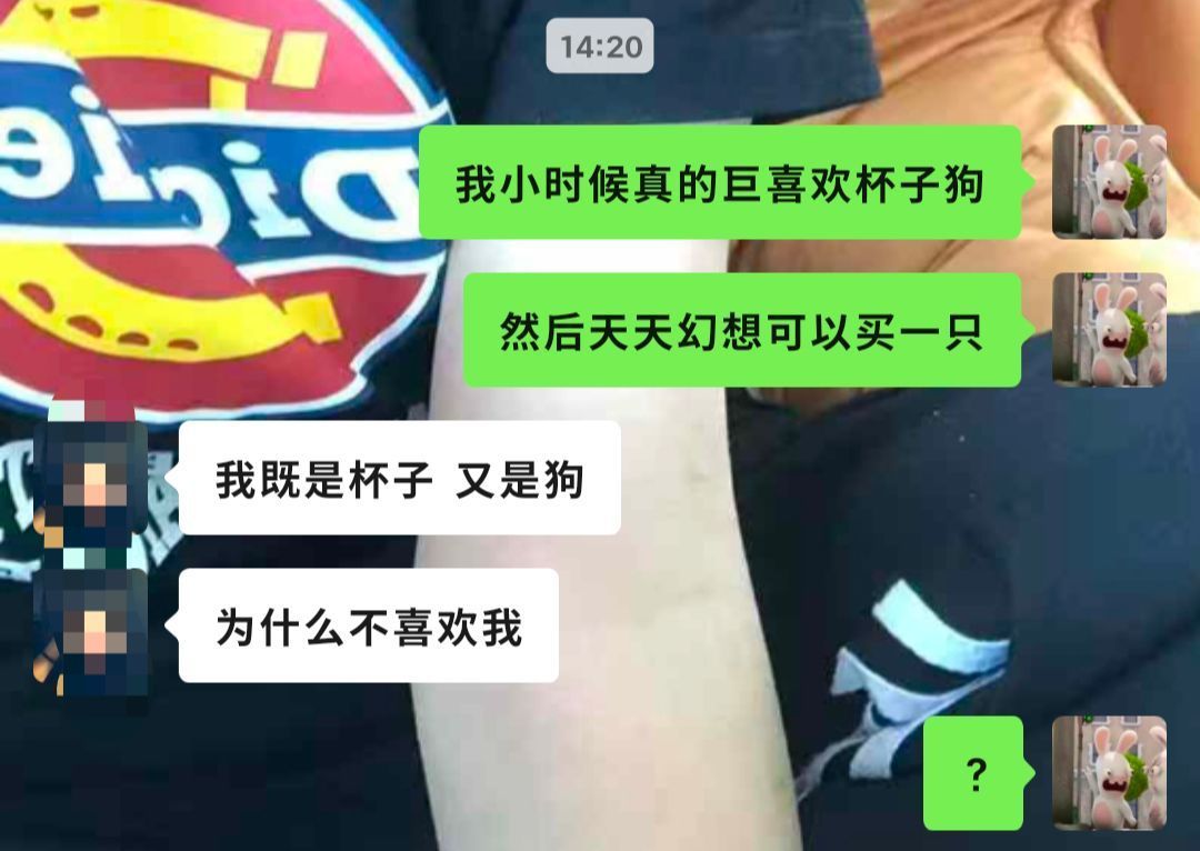 好一个两用皆宜 