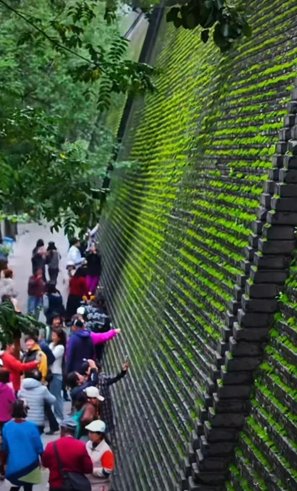 全球共贺春节。

2023年12月，第78届联合国大会通过决议，将春节（农历新年