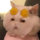 小蜜蜂爱品生活服务