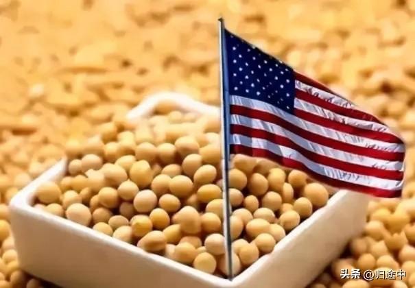 美大豆又行了？
媒体透露，东大承诺在2028年前进口总计8700万吨美大豆，其中