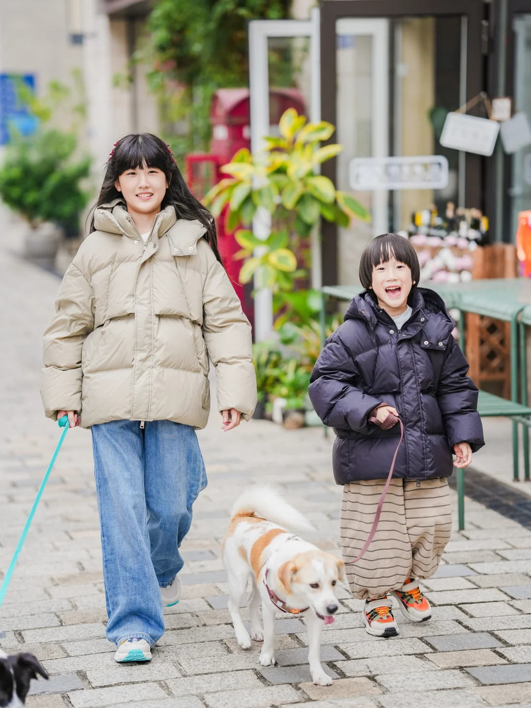 在德国小镇citywalk，和小狗一起长大