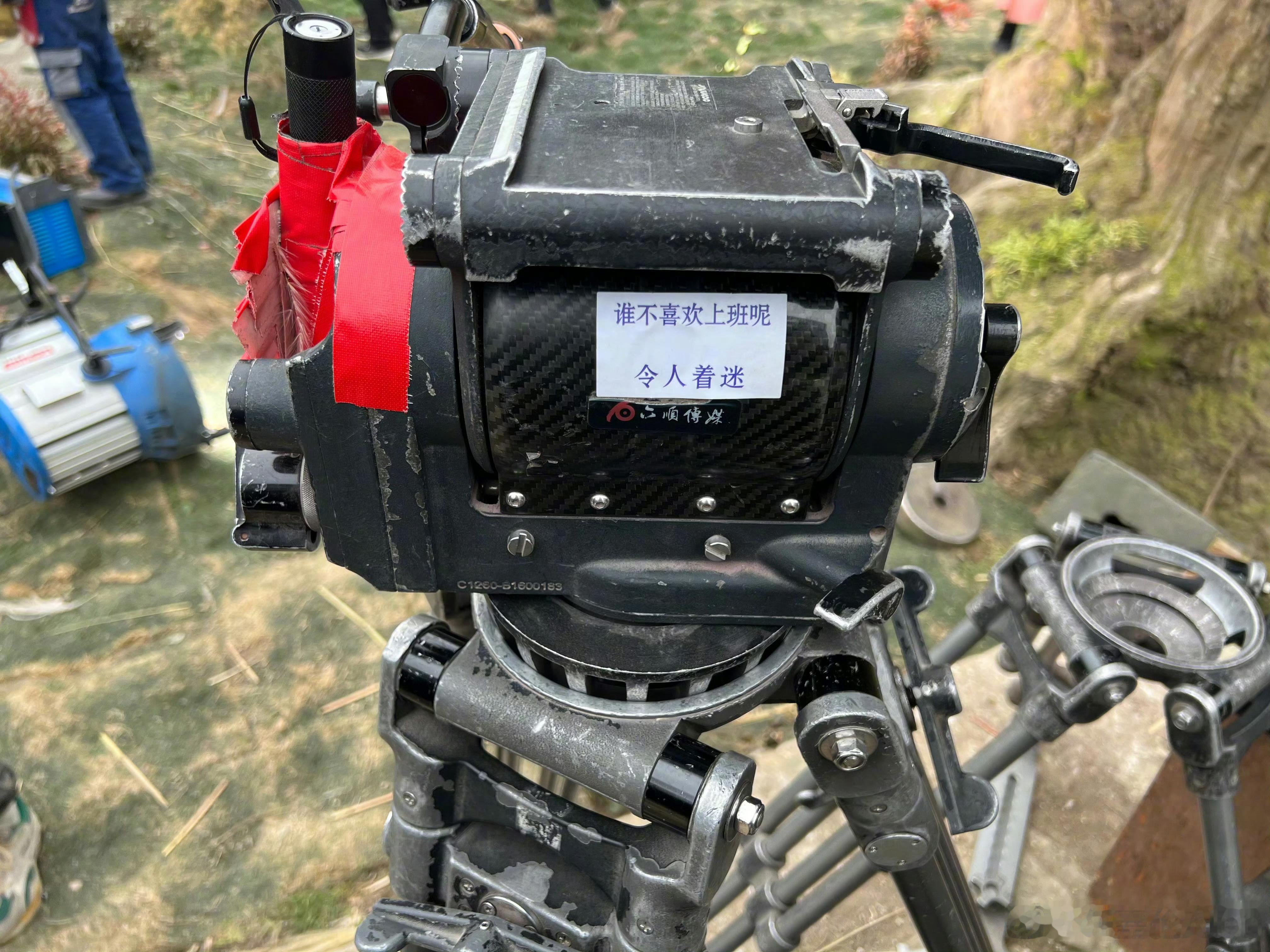 人一定要去上班任嘉伦最有经验了，人不工作会噶得快