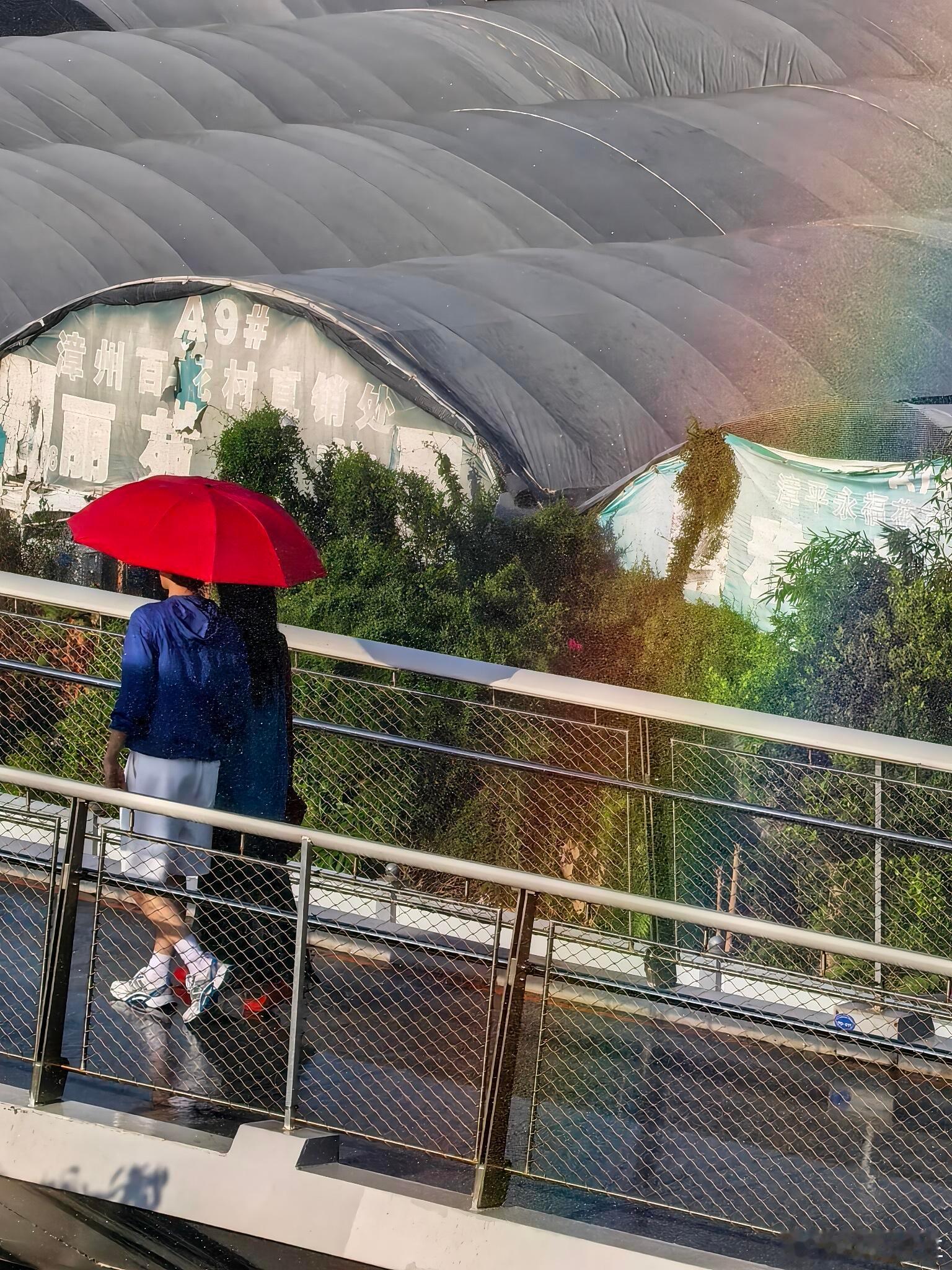 周也胡先煦吻戏路透 这组路透把我拉回了高中躲在走廊里偷看暗恋对象的日子，雨水打湿