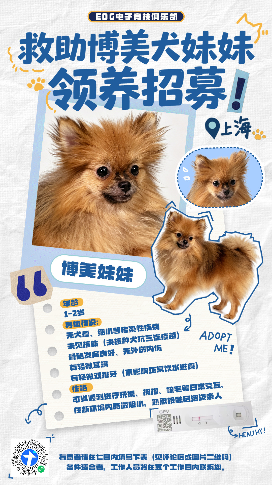 【EDG电子竞技俱乐部救助博美犬妹妹领养招募】2026年7月30日下午，EDG基
