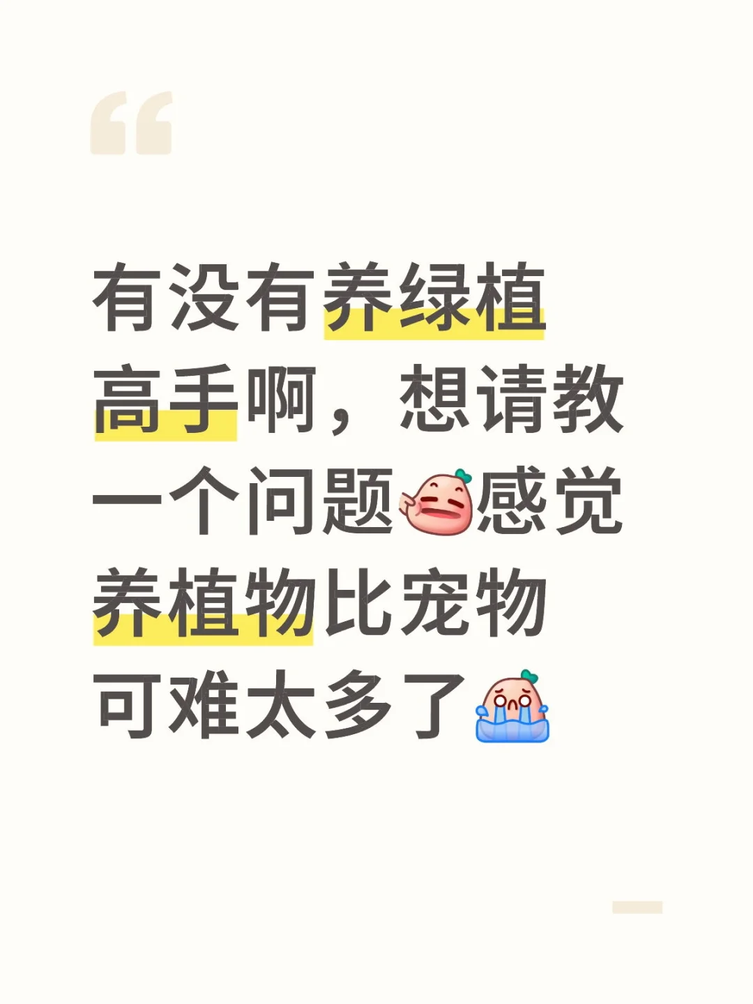 关于壁挂绿植的一个问题