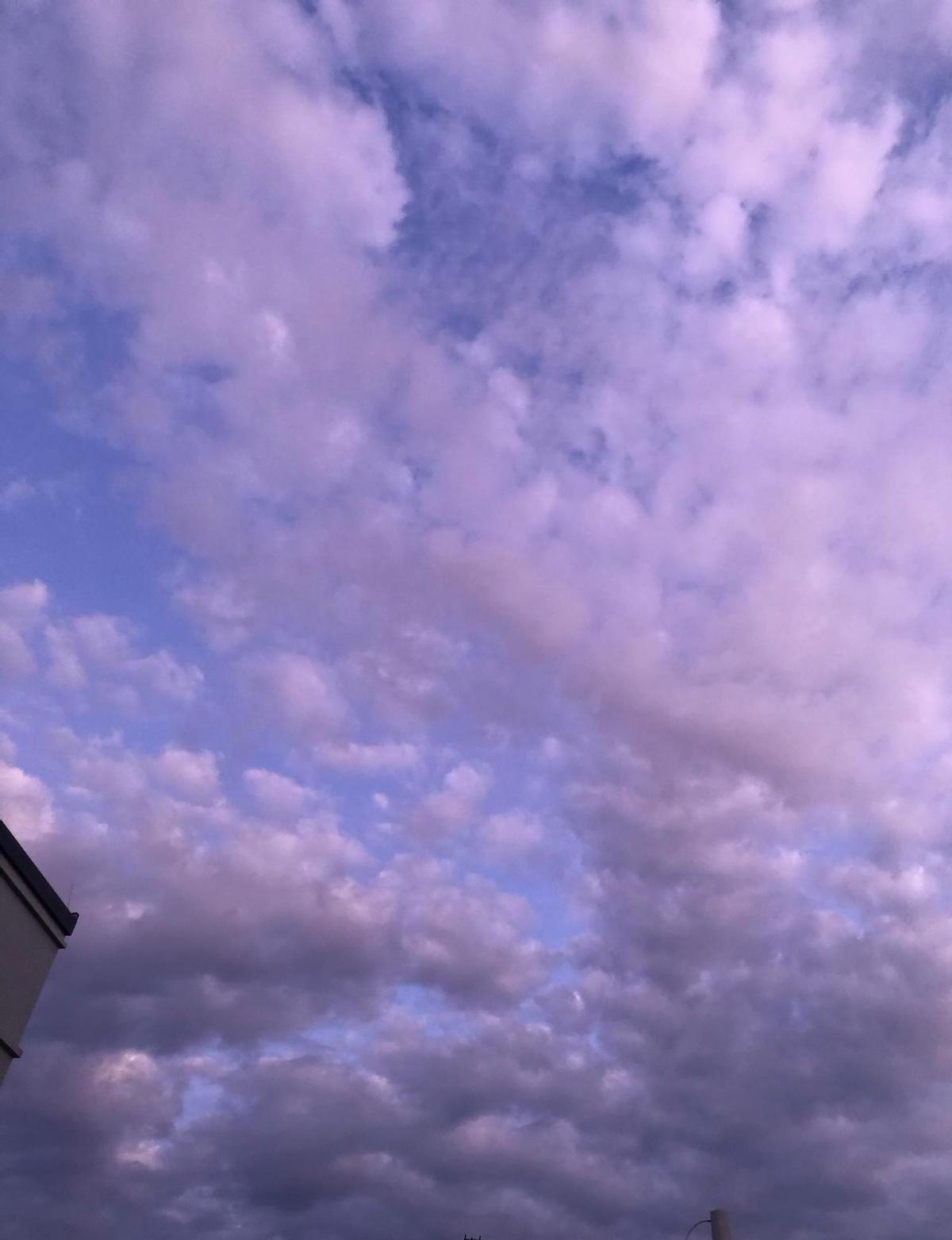 第六十五天，天还没亮，腿自己就爬起来了。
跑一公里，不喘，腿不颤。
深蹲蹲得稳，