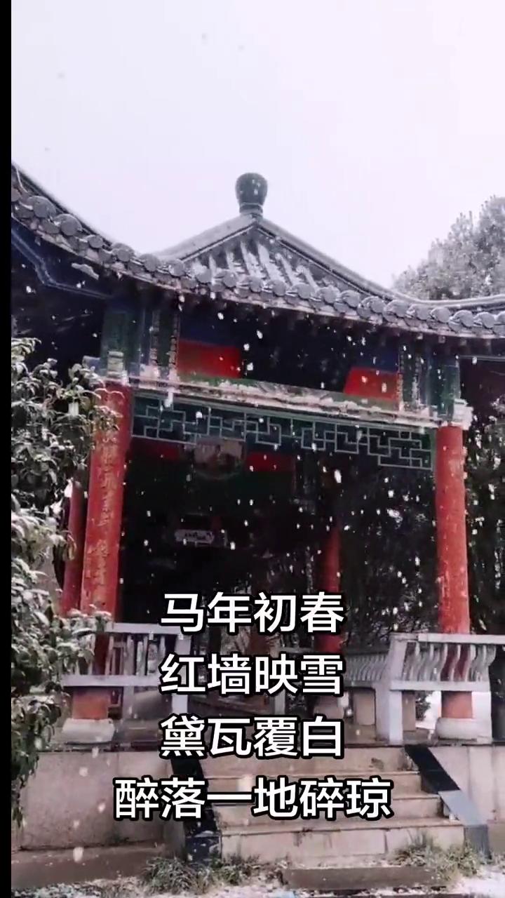 马年初春，红墙映雪，黛瓦覆白，醉落一地碎琼。