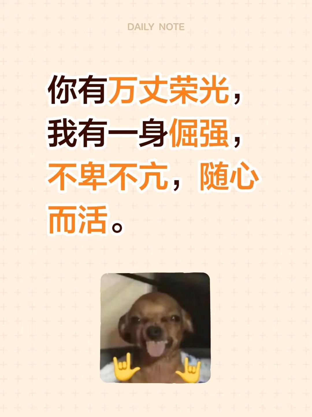 你有万丈荣光，我有一身倔强，不卑不亢，随心而活。