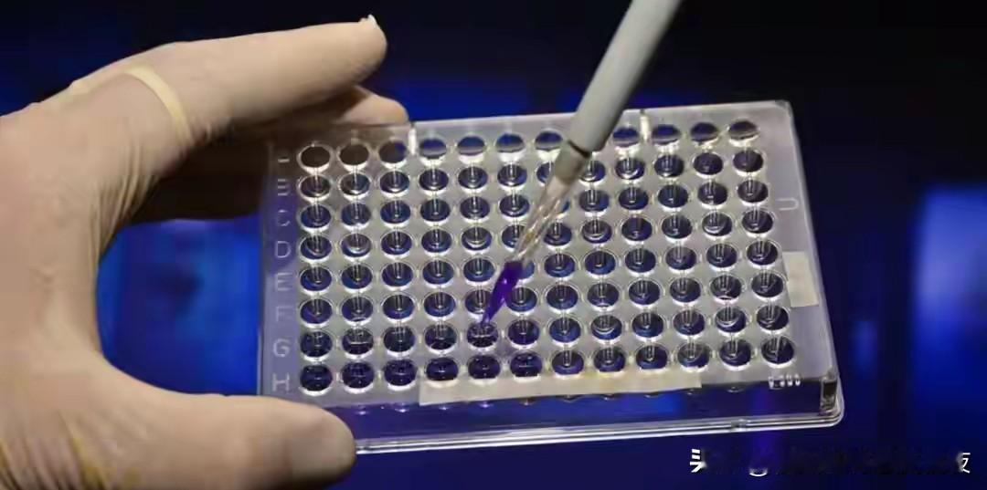 日本为啥不敢断供光刻胶？原料依赖中方，而且中方已实现国产替代