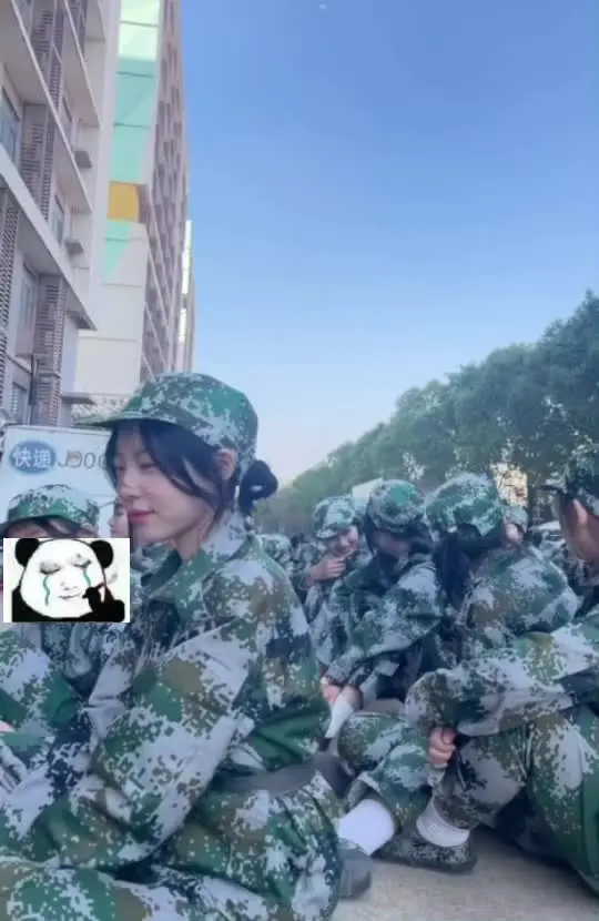 那年你刚刚大一