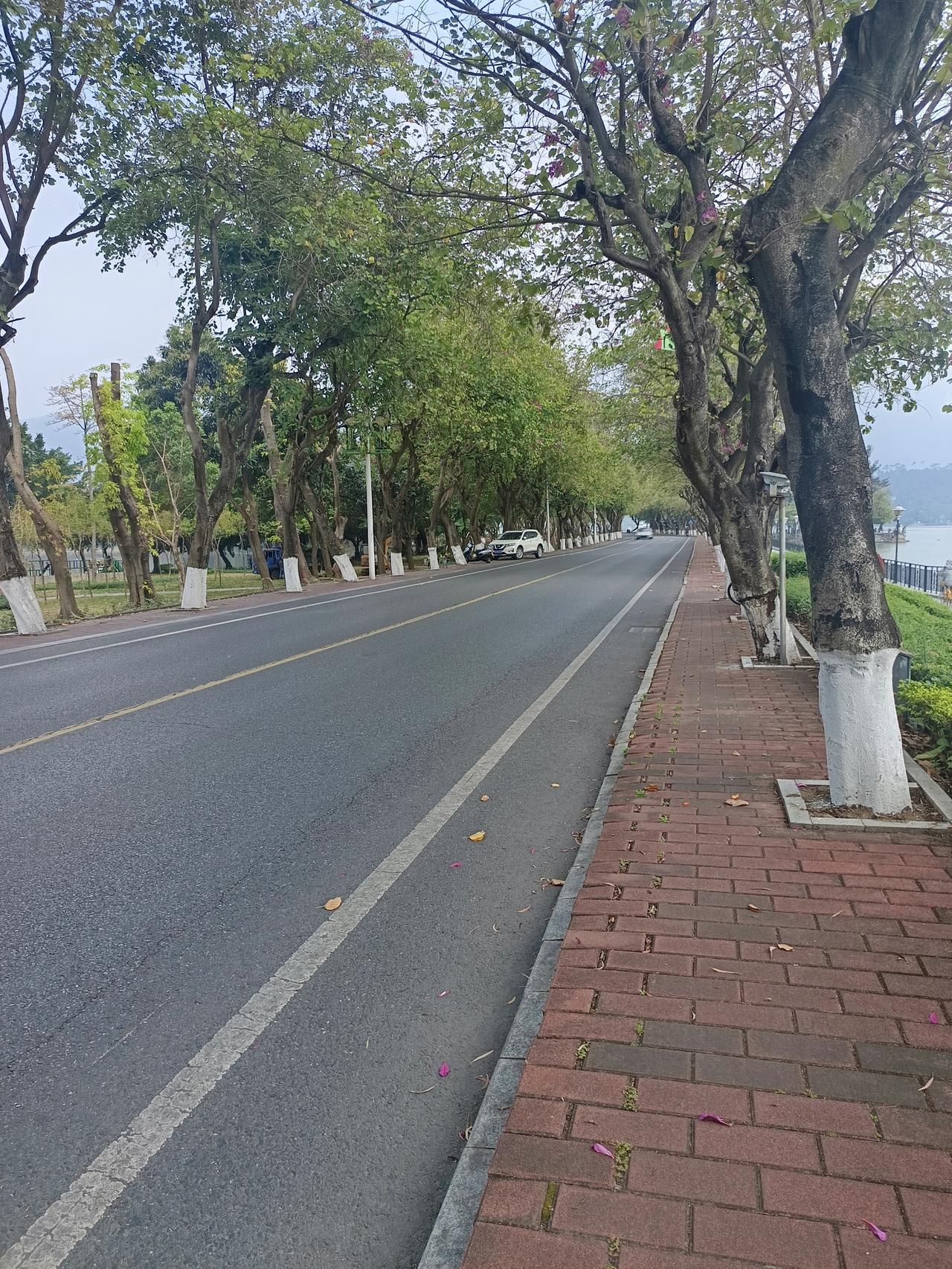 我在肇庆
发现了一个很严重的问题
但不知道怎么说才好



你敢相信吗？这里就是