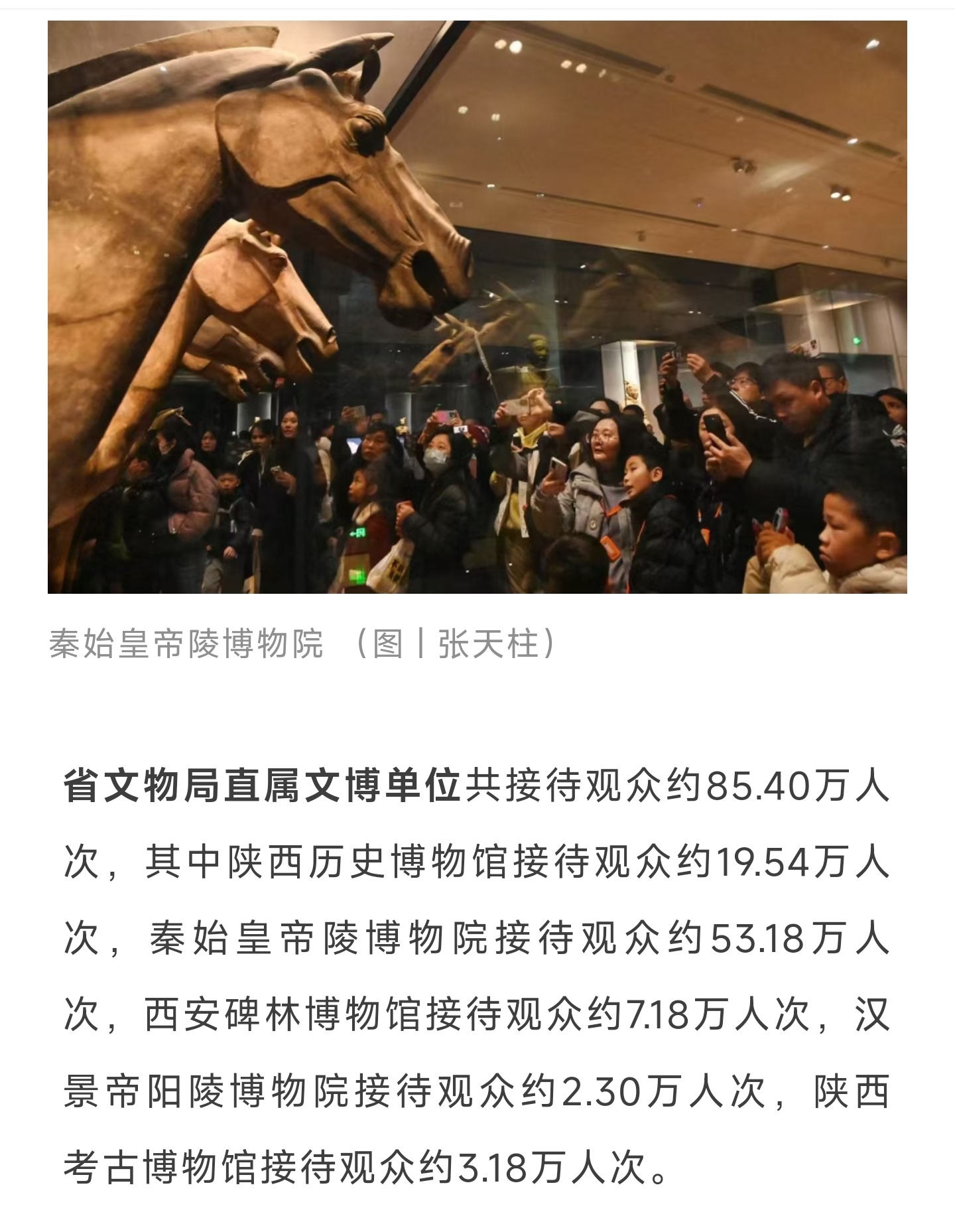 陕西考古博物馆真是可惜了，春节才三万多人。相比于性价比和节假日参观舒适度，陕西考