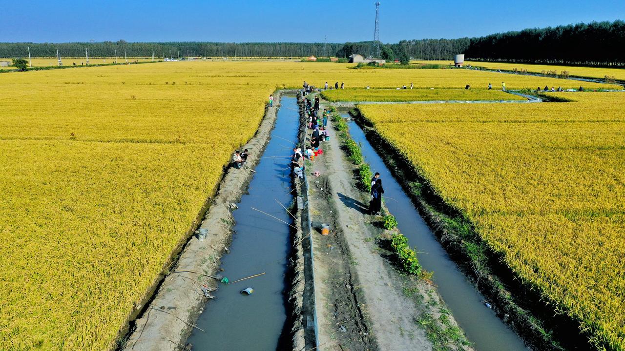 #妙笔生花创作挑战# 🎈国庆假期北京周边亲子游 好去处| 曹妃甸八农场新塘庄千
