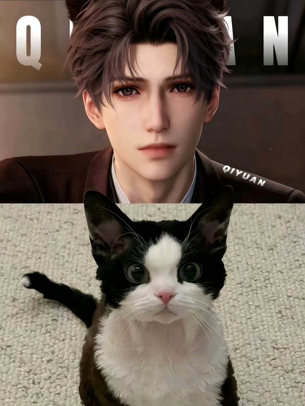 完全就是祁煜顶级猫男 从小被宠爱到大，性子高傲又疏离，举手投足矜贵优雅，天生配得