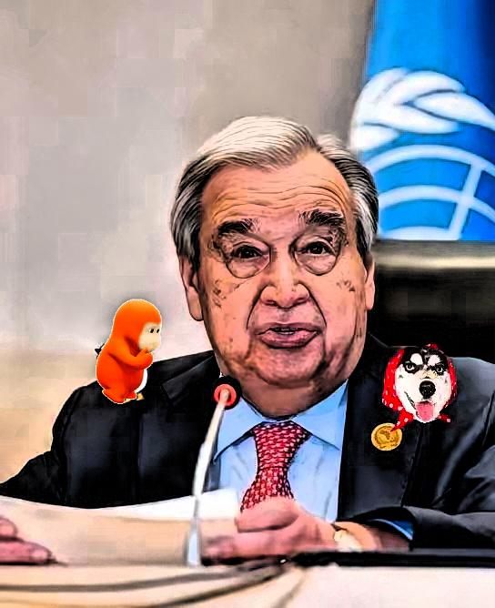 联合国宣布了！
10月9日，联合国官员宣布，由于资金短缺且美国未来出资存在不确定