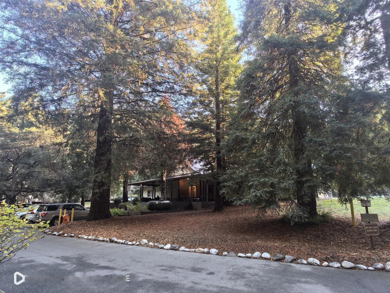 大苏尔森林公园酒店怎么样？
       周末，我们从福斯特城自驾出发，沿着加州