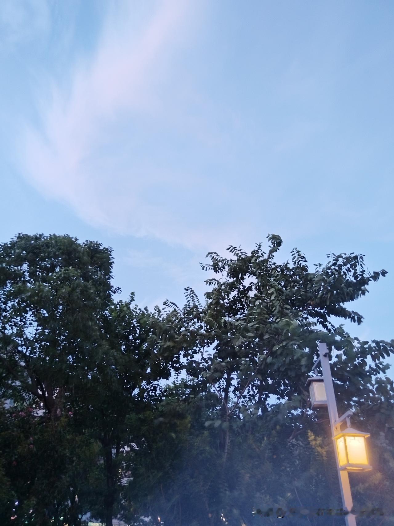 是的，我承认，我害怕。

这种害怕不是与生俱来的，而是被一次次“扶人被讹”“救人