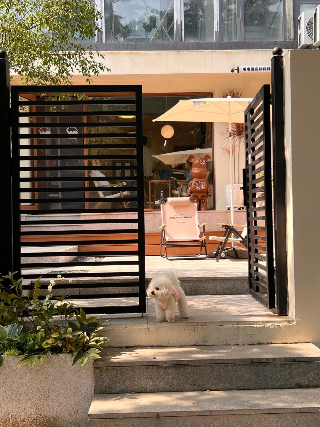 沈阳新开的！！！小狗料理🐕💭🥯🫧太治愈啦