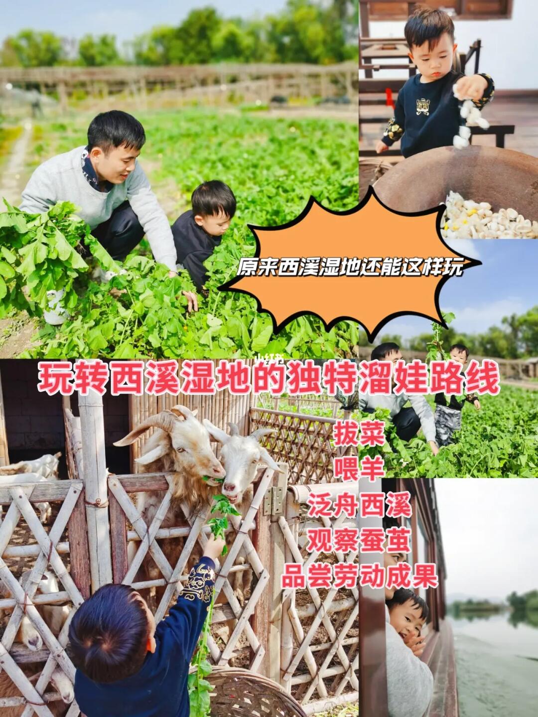 没去西湖，我们在西溪湿地解锁新的溜娃方式