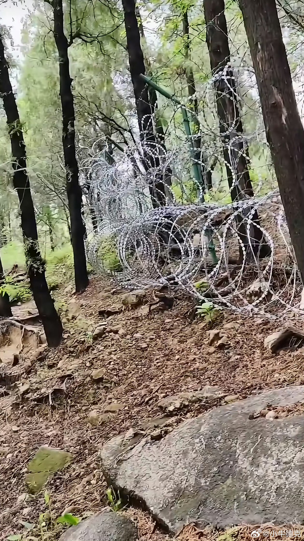 泰山疑被135公里刀片铁丝网围住爬过三次泰山，山顶的厕所每次极为不堪，没等来厕所