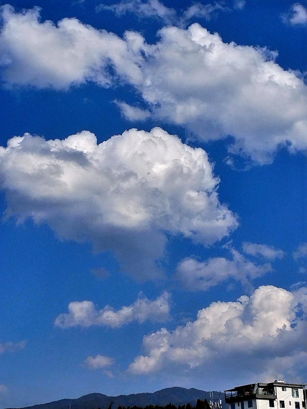 蓝天白云，心旷神怡，大自然的美好尽收眼底。🌤️💙🍃那一抹纯净的蓝，像是被水