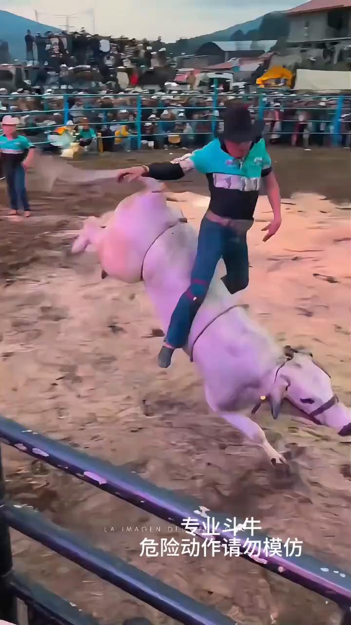 危险动作请勿模仿。