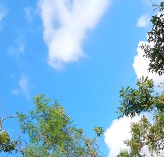 刚刚看到淮安通报徐广波被查的新闻，底下有人评论：“一个经侦支队长能有多大权力？还