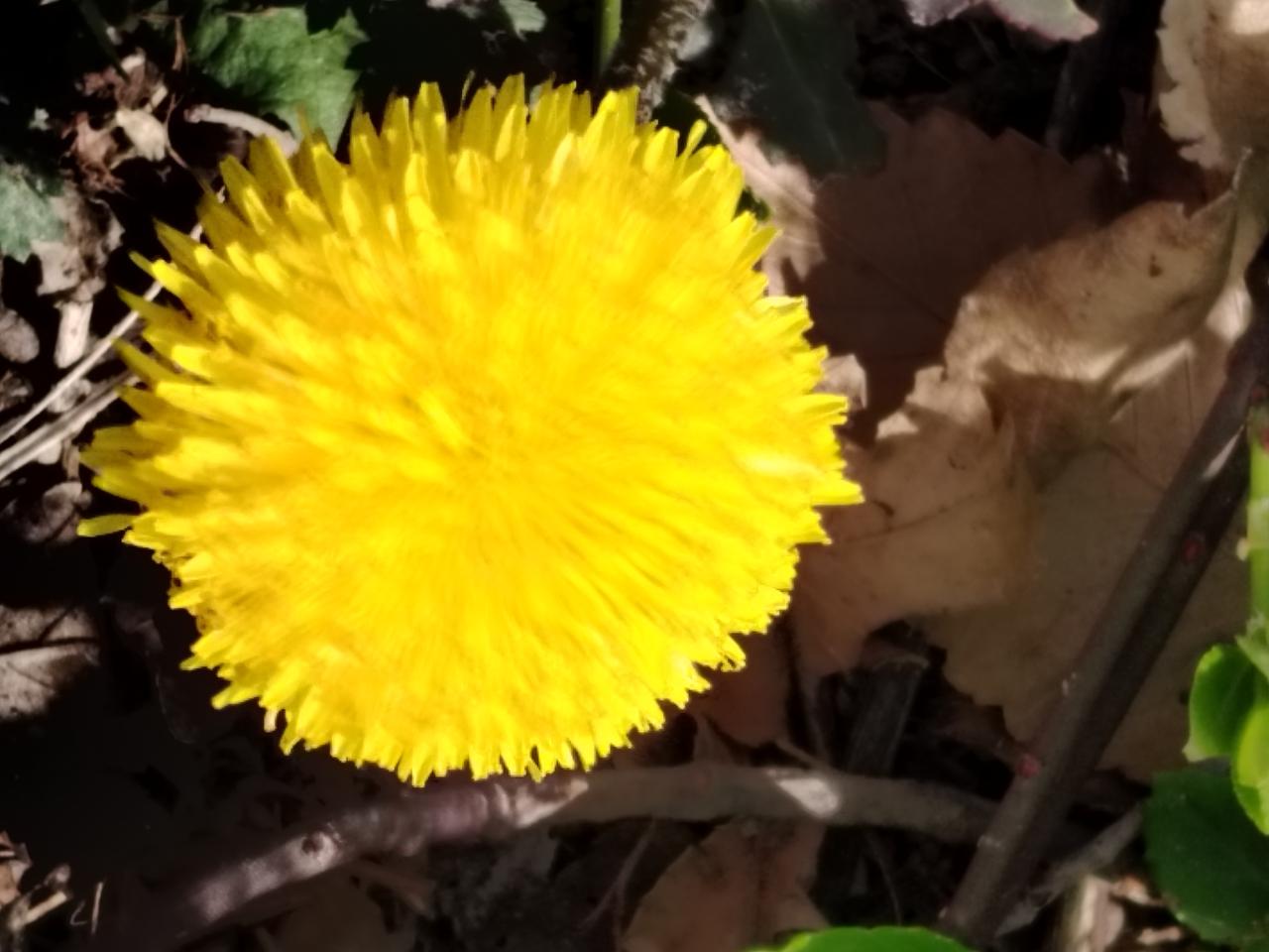 职场，能忍，才能进步！
记得当年刚调入教育局不久，全局开展大调研，分成五组对企业