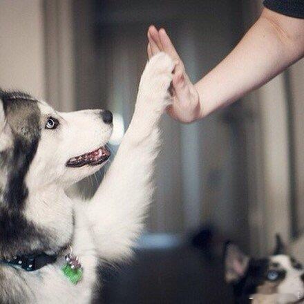 Baby Give me five. 每天都要正能量。生活手记