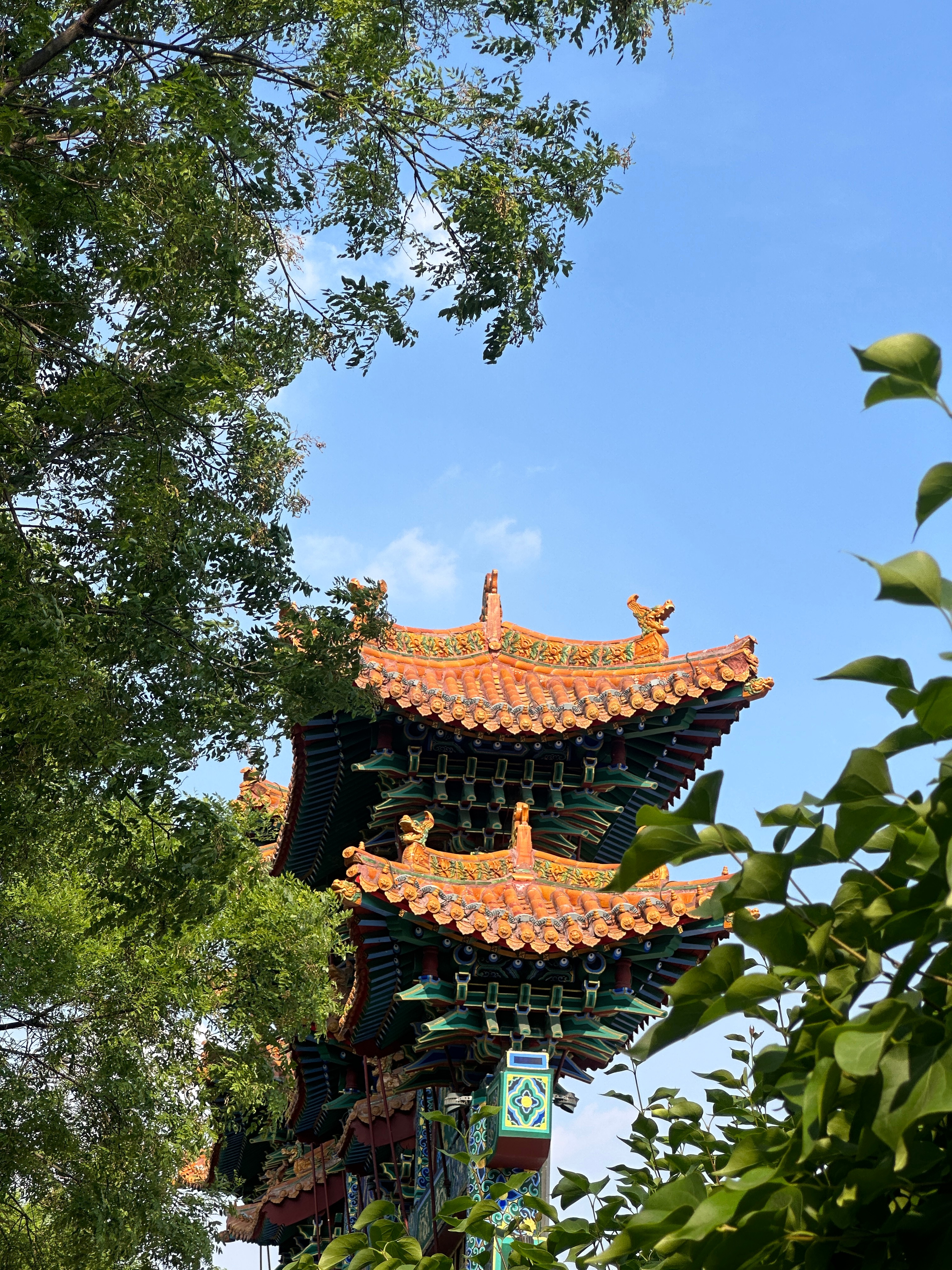 万里山河路 与崇福寺隔街相望的马邑博物馆，共同构成古色古香的4A景区。2012年