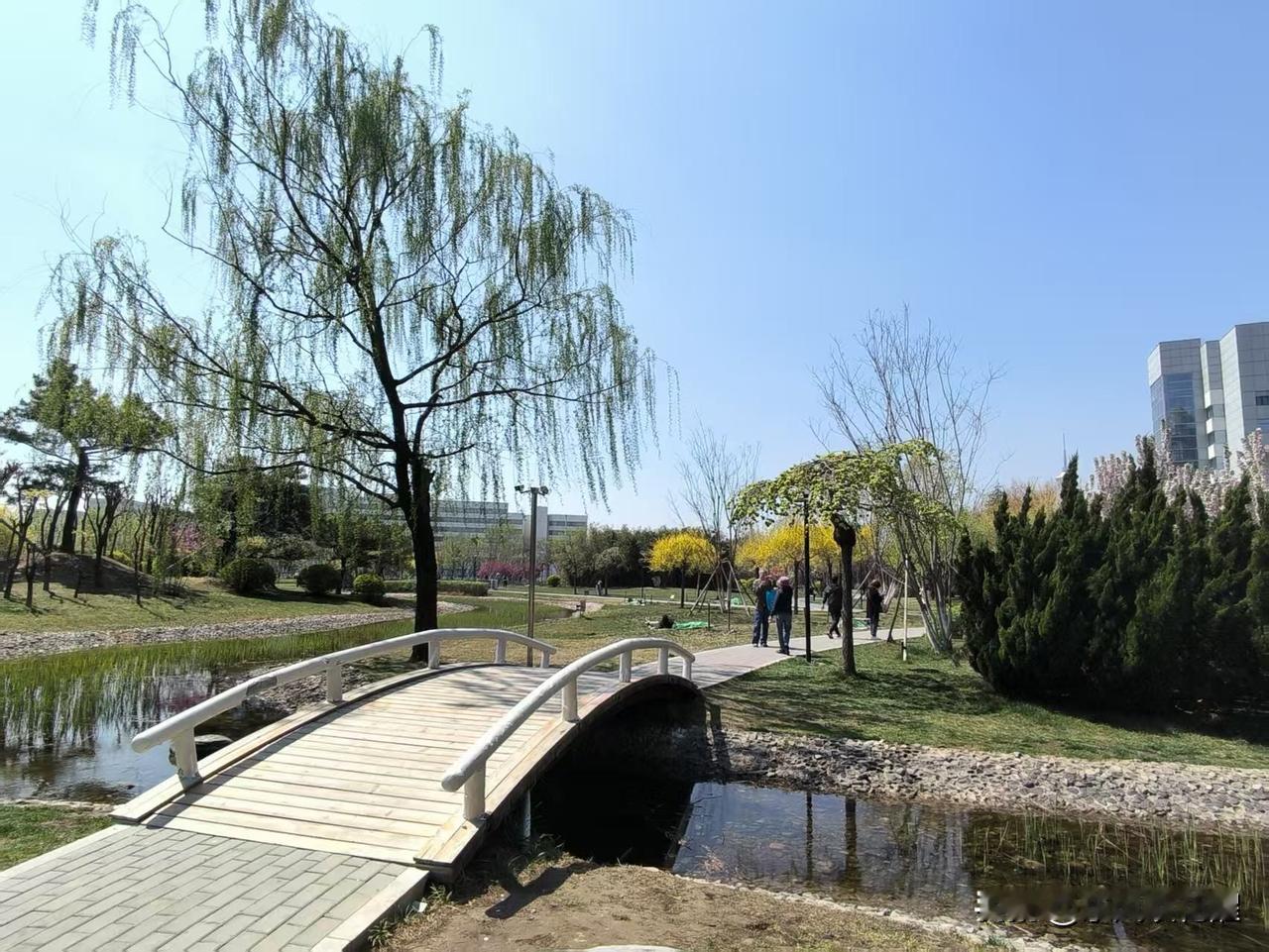 友谊公园，面积大景色美，植物茂密，树的品种繁多。来此游玩的人比往年都多，来这遛弯