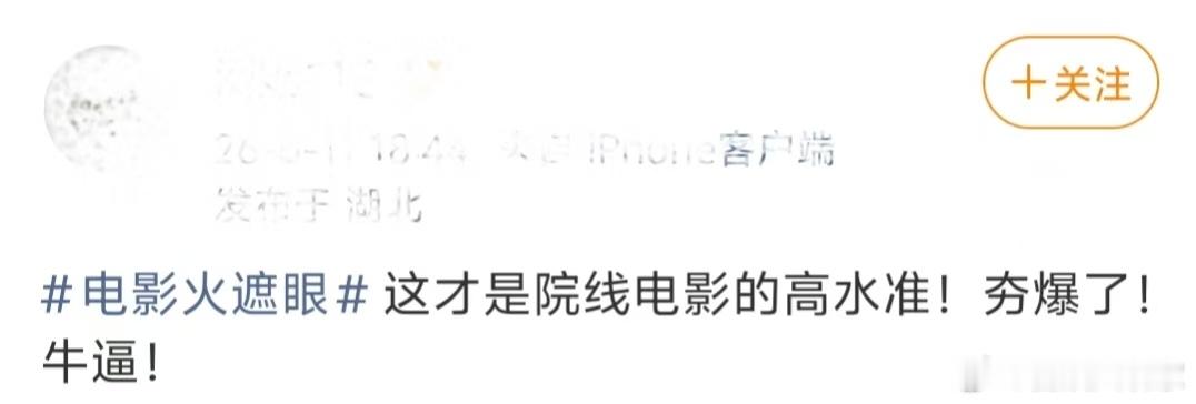 火遮眼好看火遮眼好爽火遮眼看完只想说牛逼，这才是院线动作片该有的水准 