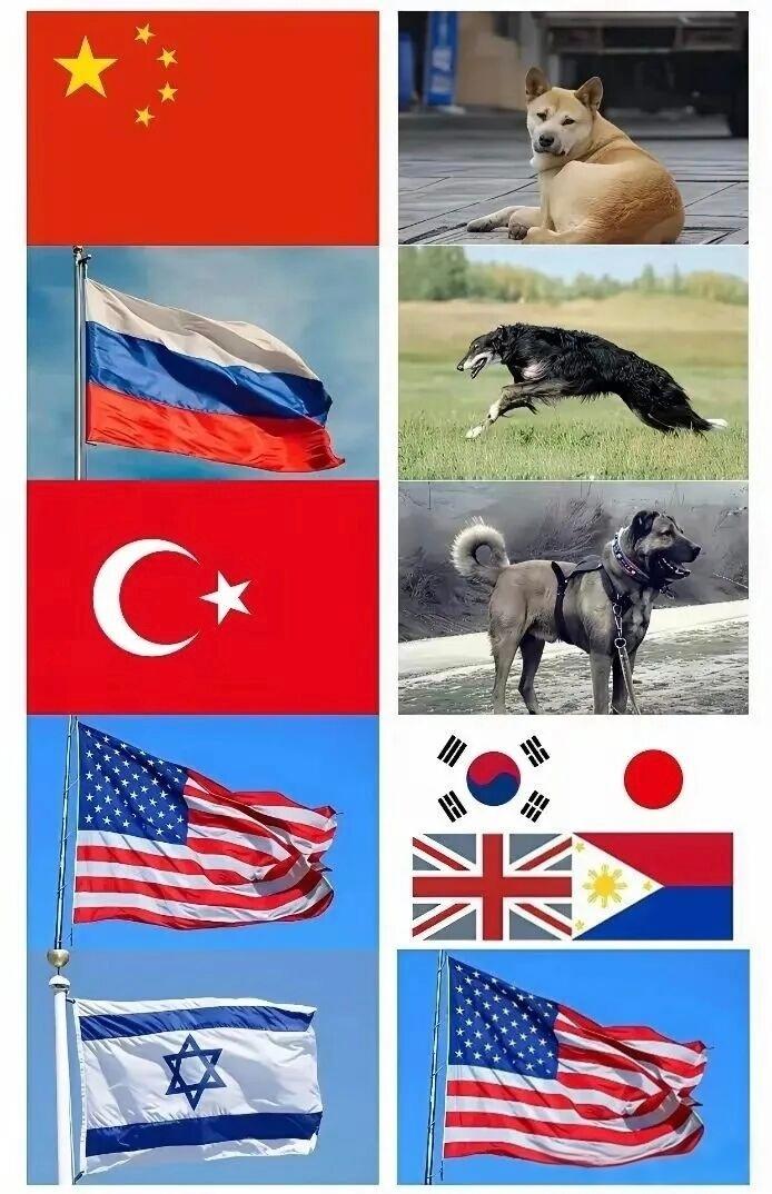 图片中左侧的国旗，从上到下依次为：
中国国旗，
​俄罗斯联邦国旗，
​土耳其共和