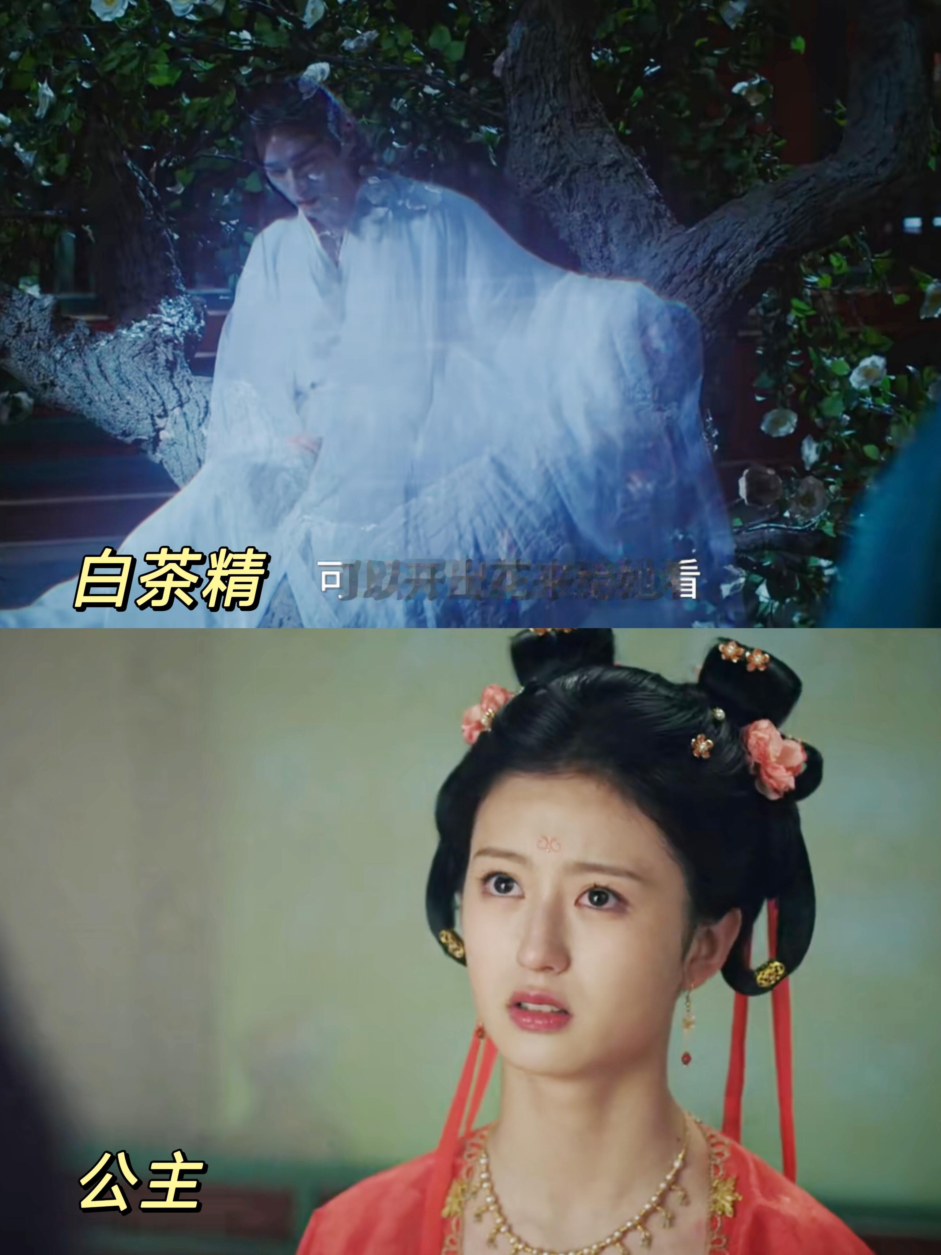 以为是树成精害人，没想到是为了纯爱 ​​​