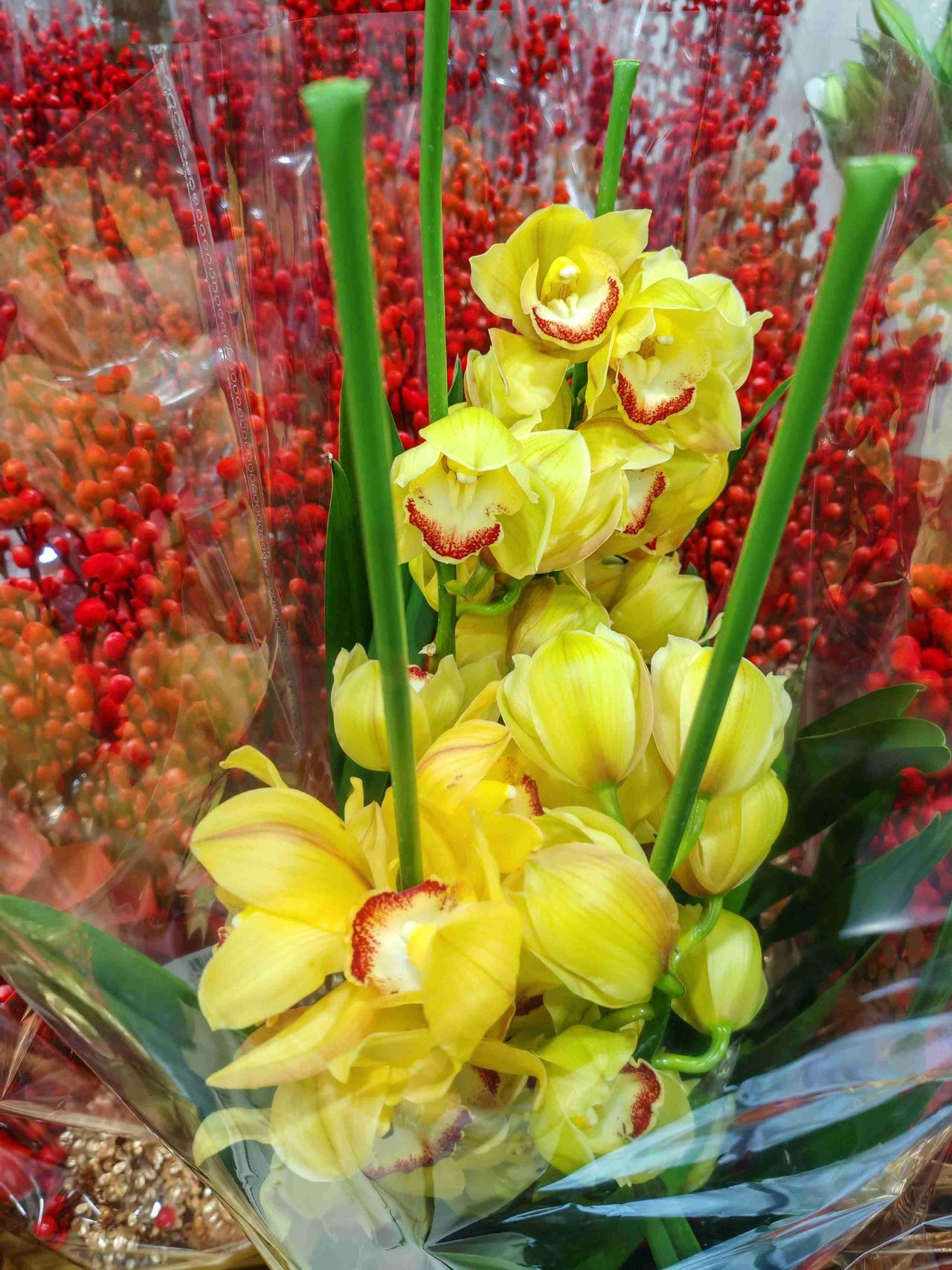 我的今日状态：😁轻松愉快
我这里的天气：☀️晴天