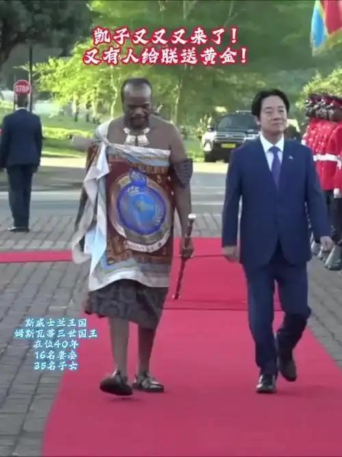 台湾退役中将帅化民说：5月2日，在所有人都不知情的情况下，赖清德偷偷钻进斯维士兰