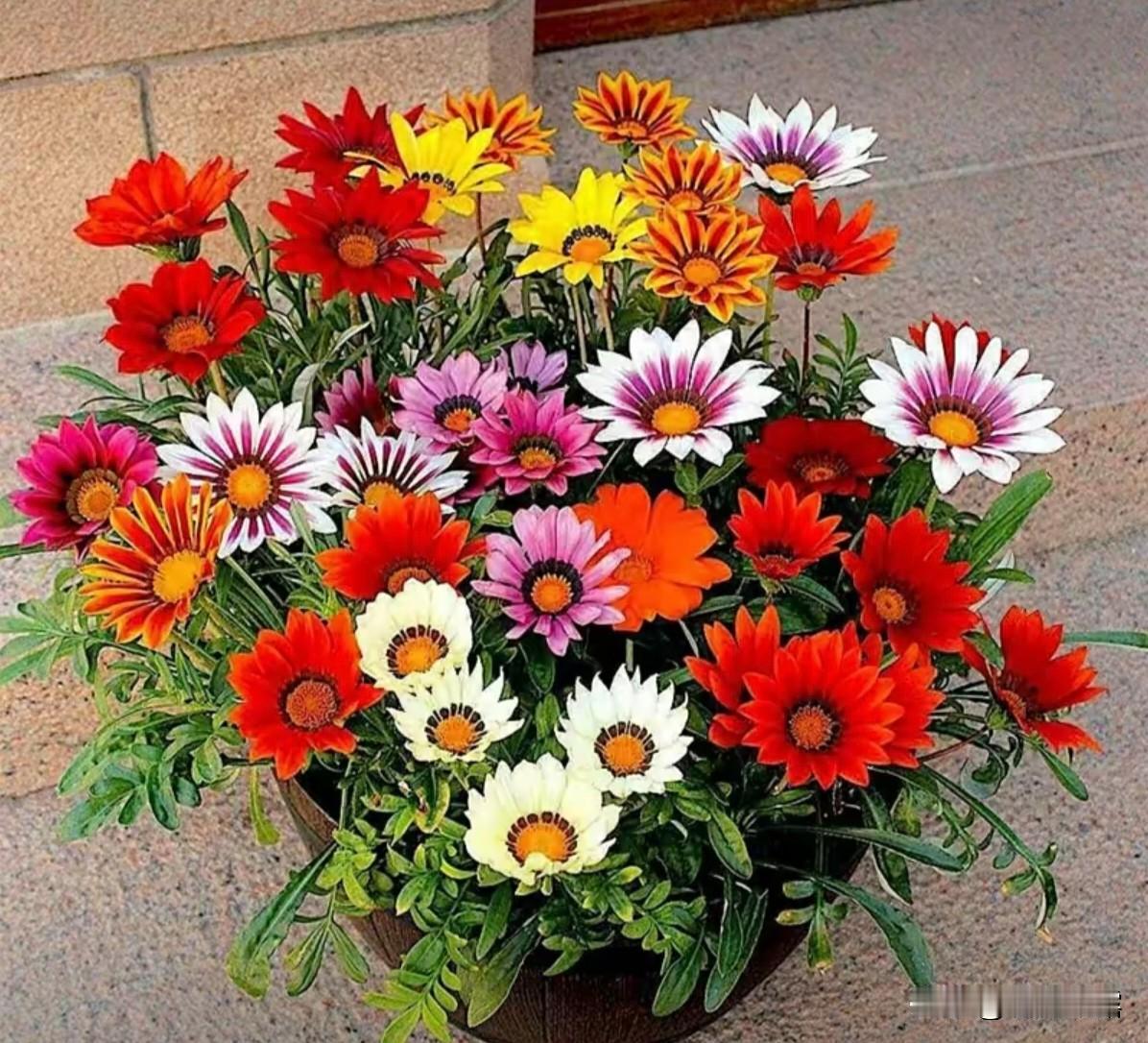 在我们家乡的方言是说，上便所。