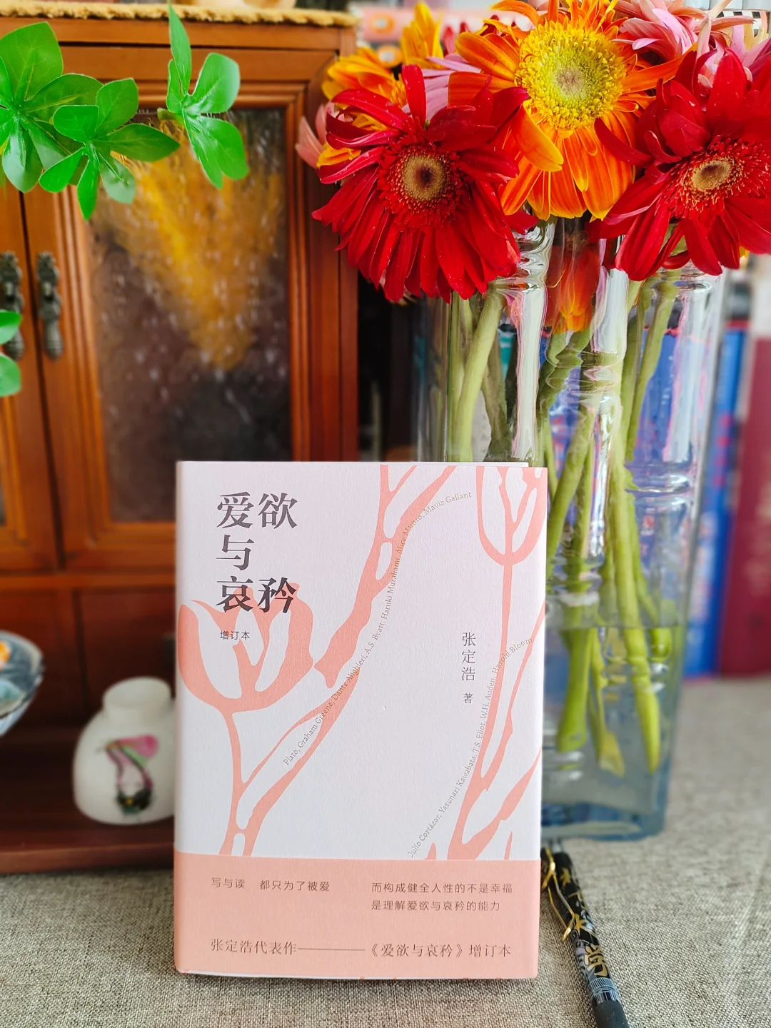 张定浩｜“写与读，都只为了被爱