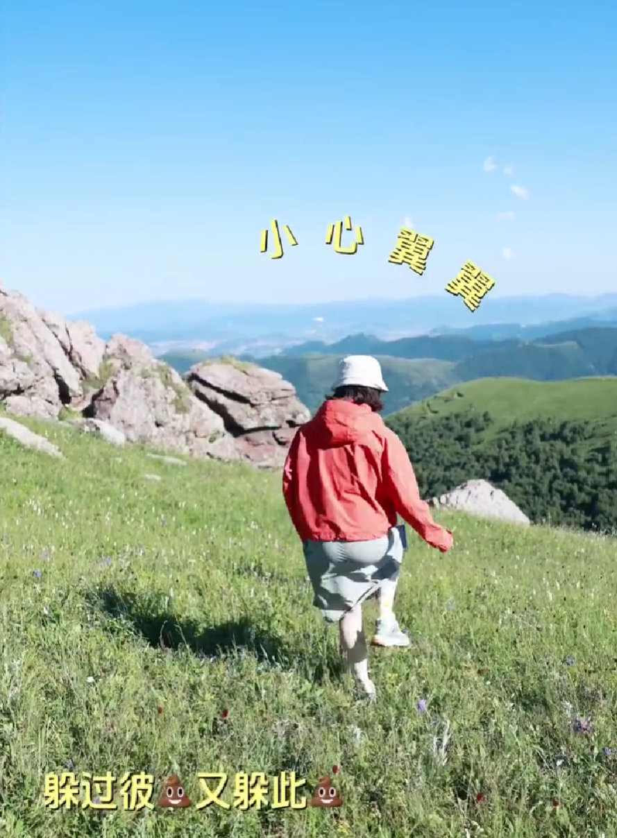 宋茜户外拍摄被虫子追着跑 叠石头挑战——失败×N。宋茜内心OS：我就不信了！再来