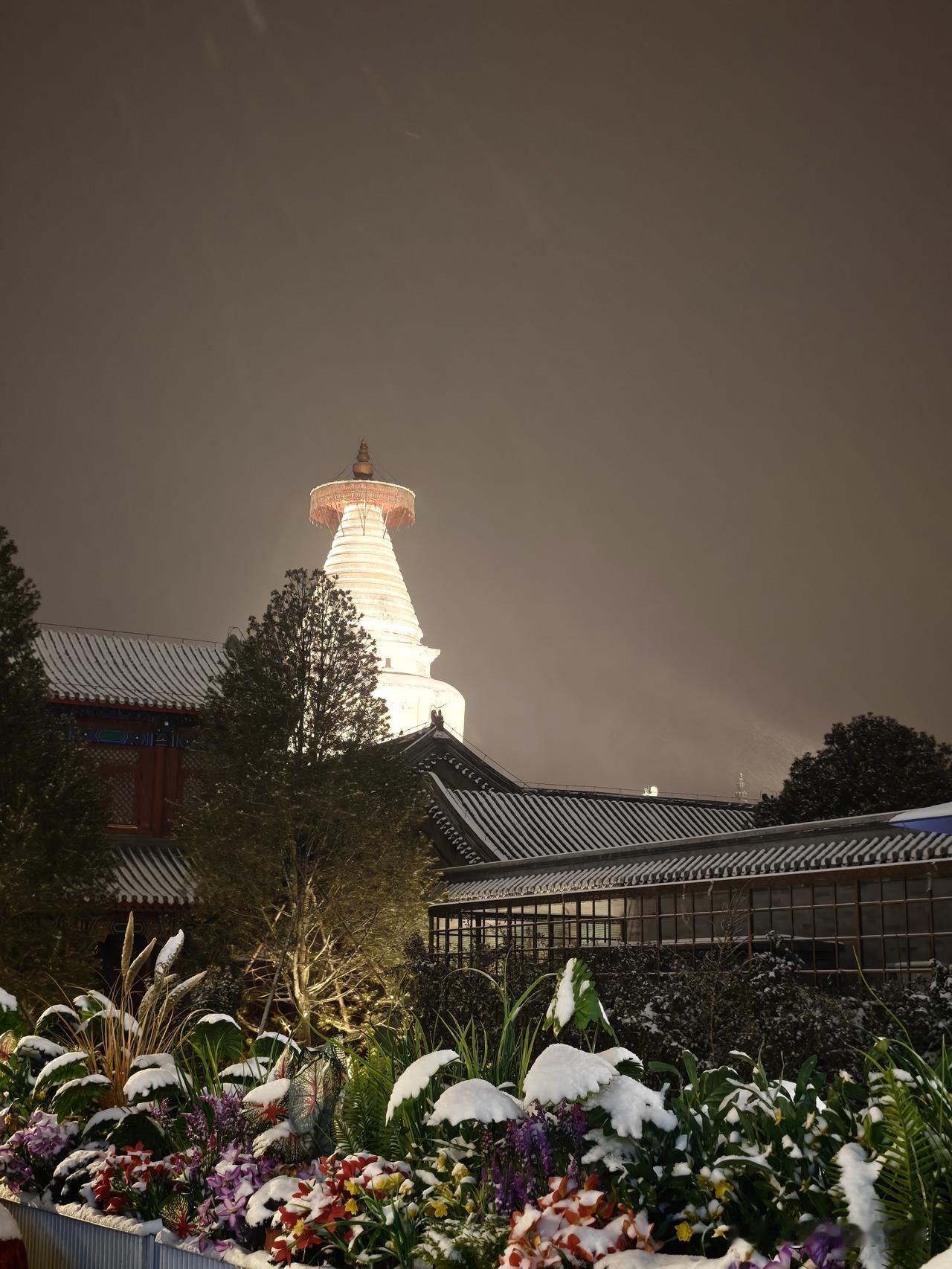 北京的第一场雪下了一个下午，一个下午积水潭医院骨科就有好几十人去，有二十几人骨折