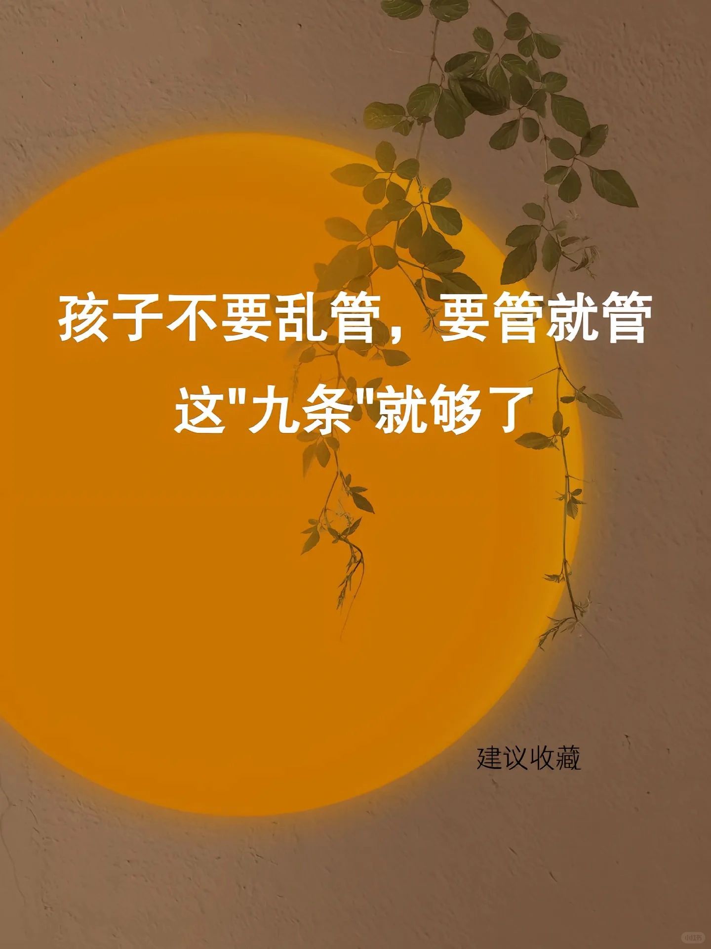 孩子不要乱管，要管就管 这