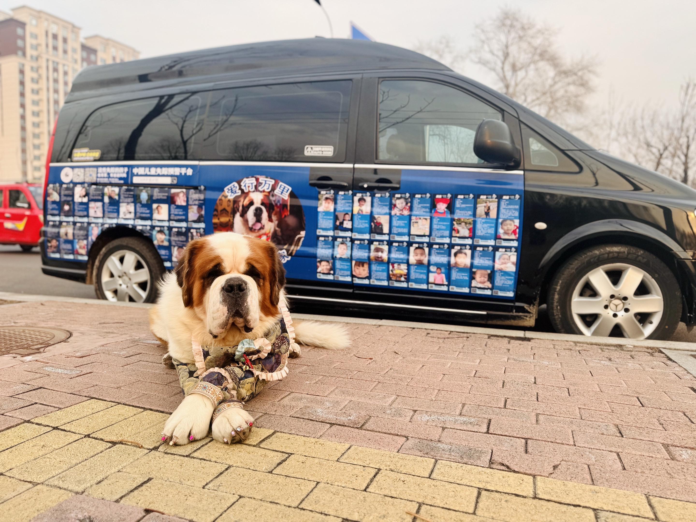 公益是每个人的选择，不是因为事情多么伟大， 而是因为事情有意义～