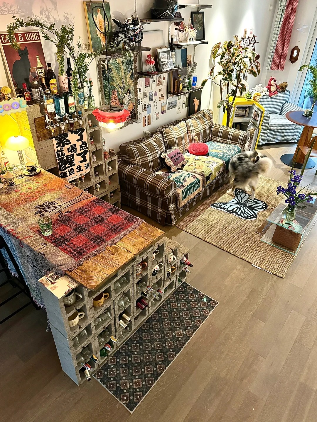 我的客厅🛋️超级有氛围感˖ ꒰͡ ͜ ï ͜ ͡꒱ ⁺