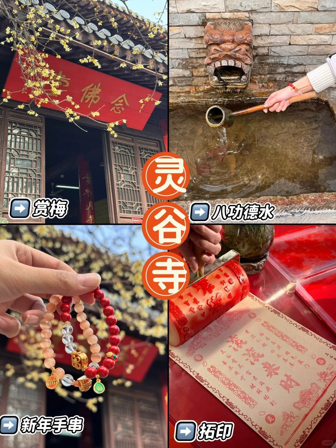 新春灵谷寺祈福✖赏腊梅全攻略 建议收藏‼