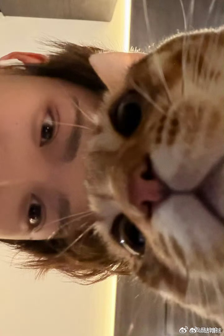 梓渝新专辑新电影新巡演，感觉6.0已经今非昔比了，雷朋已经没有雷了。梓渝算是识时