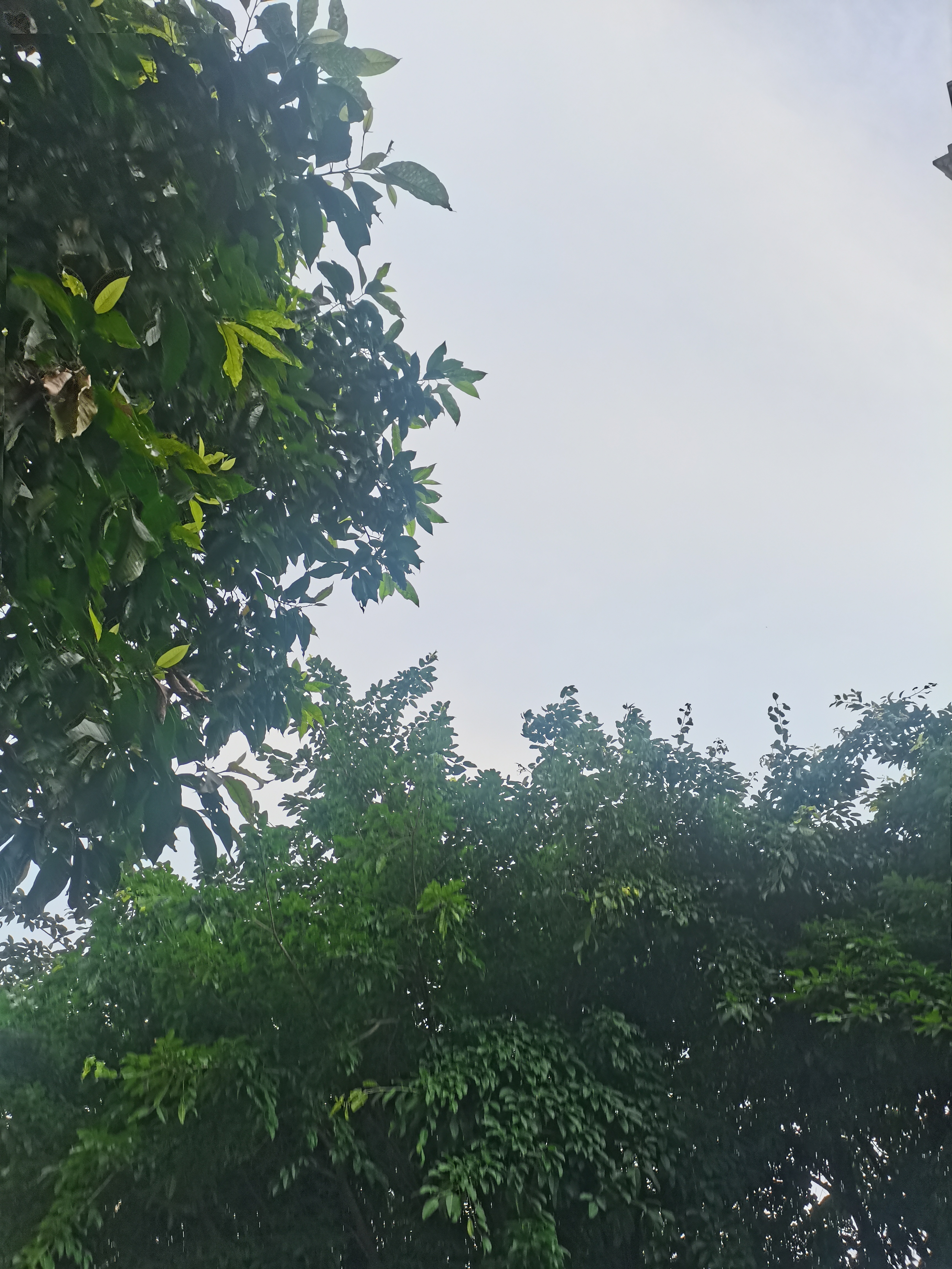 早安又是皮泡眼肿的一天 